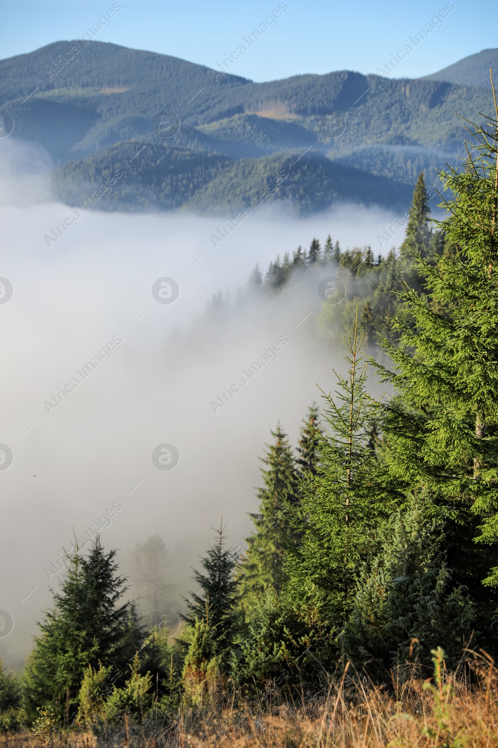 Photo of Beautiful view of mountains covered with fog at sunrise