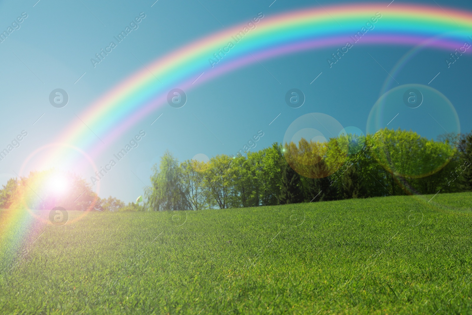 Image of Picturesque view of green meadow and beautiful rainbow in blue sky on sunny day