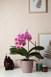 Photo of Beautiful pink orchid flower and different decor elements on white table