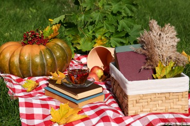 Photo of Books, cup of tea and pumpkin on plaid outdoors. Autumn atmosphere