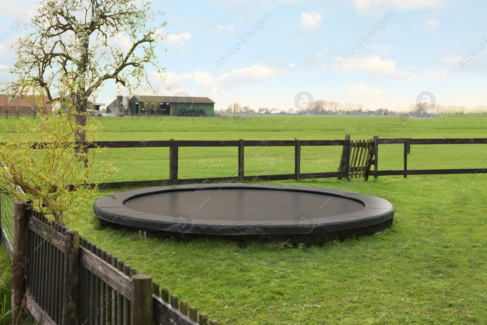 Photo of Spacious backyard with trampoline and wooden fence in early morning