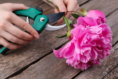 Woman trimming beautiful pink peonies with secateurs at wooden table, closeup