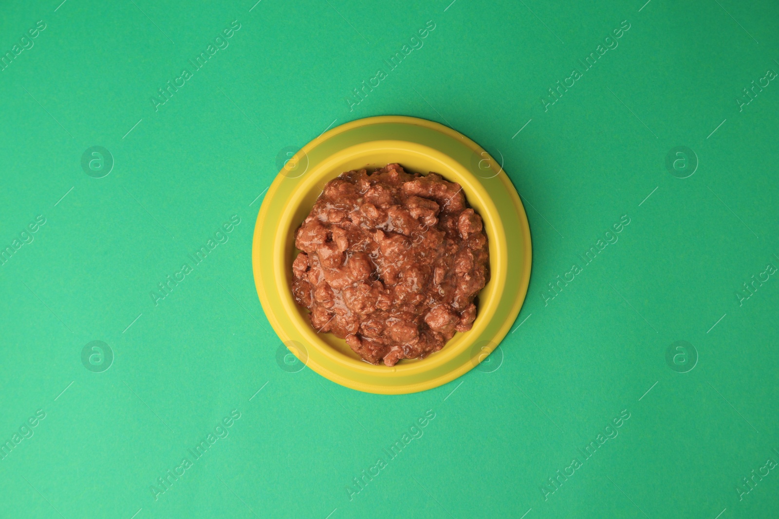 Photo of Wet pet food in feeding bowl on green background, top view