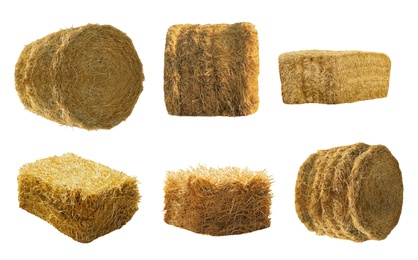 Image of Set of hay bales on white background. Agriculture industry