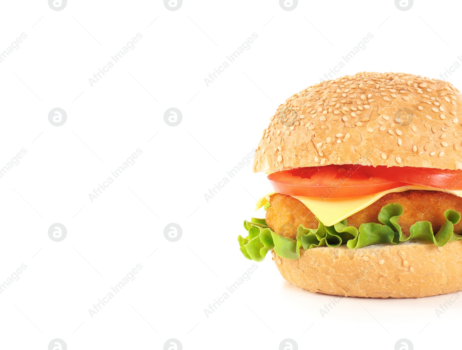 Photo of Tasty homemade burger with cheese on white background. Space for text