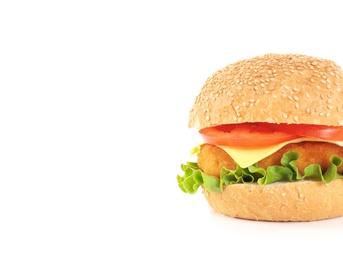 Tasty homemade burger with cheese on white background. Space for text
