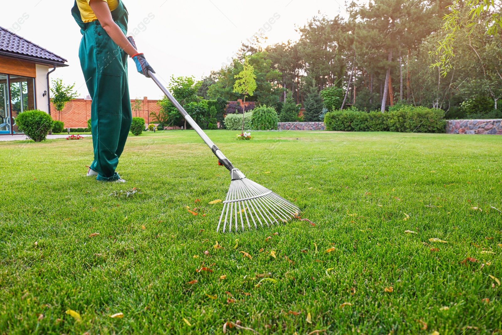 Photo of Woman raking green lawn at backyard. Home gardening