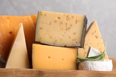 Wooden tray with different sorts of cheese and rosemary on grey background