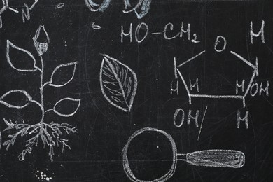 Photo of Chemical formulas and different pictures drawn on blackboard