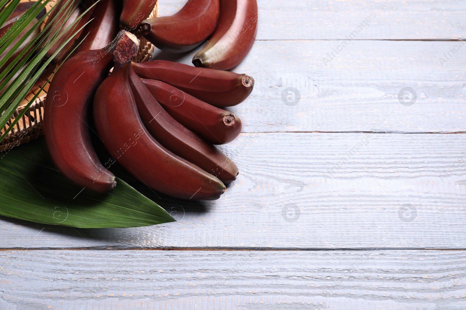 Photo of Tasty red baby bananas on grey wooden table. Space for text