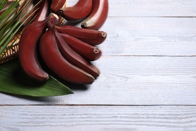 Photo of Tasty red baby bananas on grey wooden table. Space for text