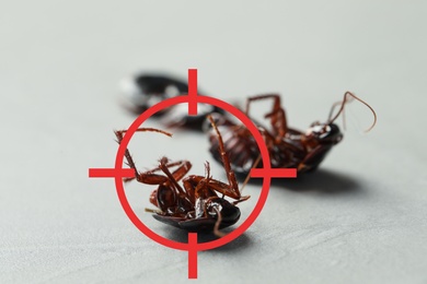 Image of Dead cockroaches with red target symbol on grey surface. Pest control