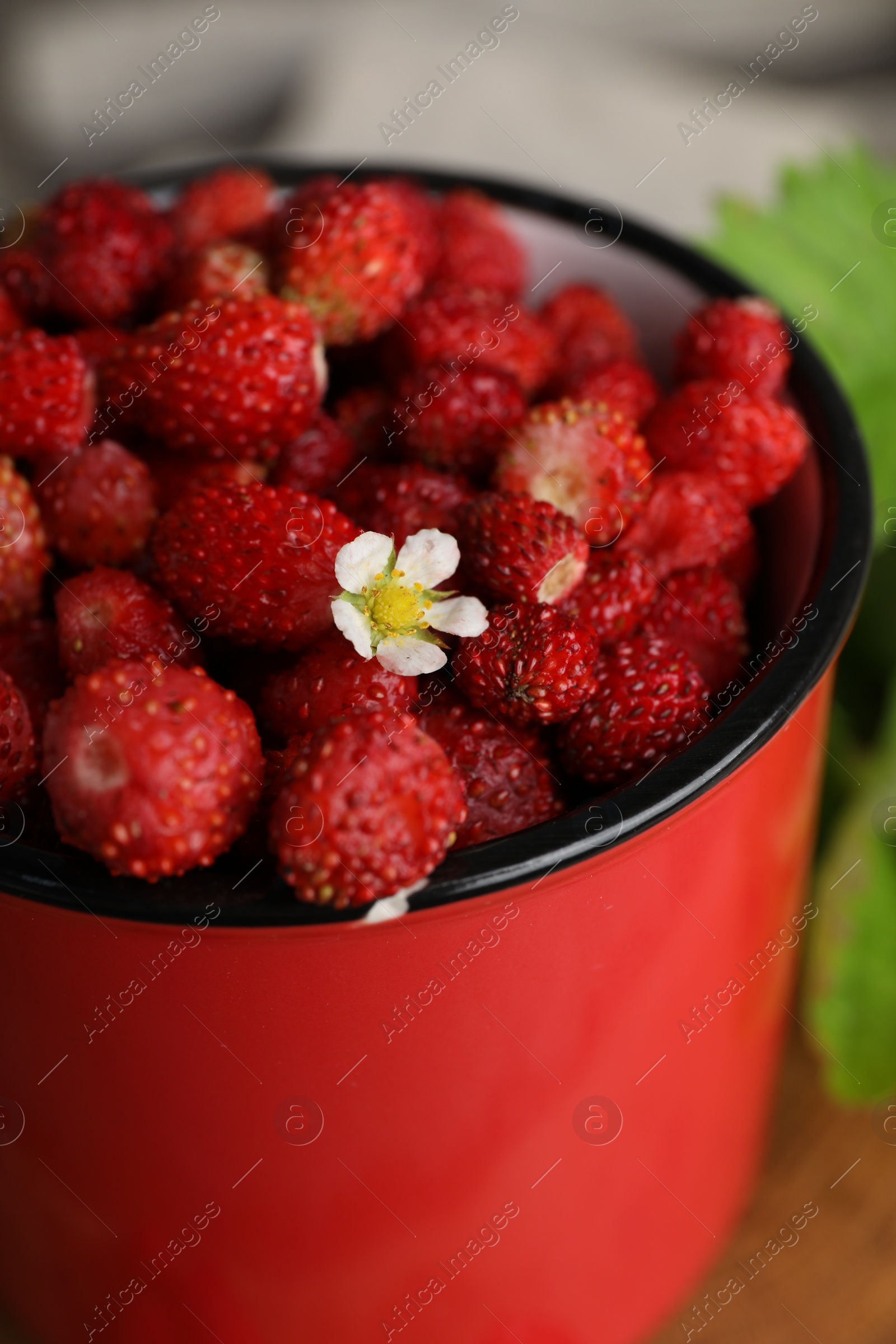 Photo of Fresh wild strawberries and flower in mug on table, closeup