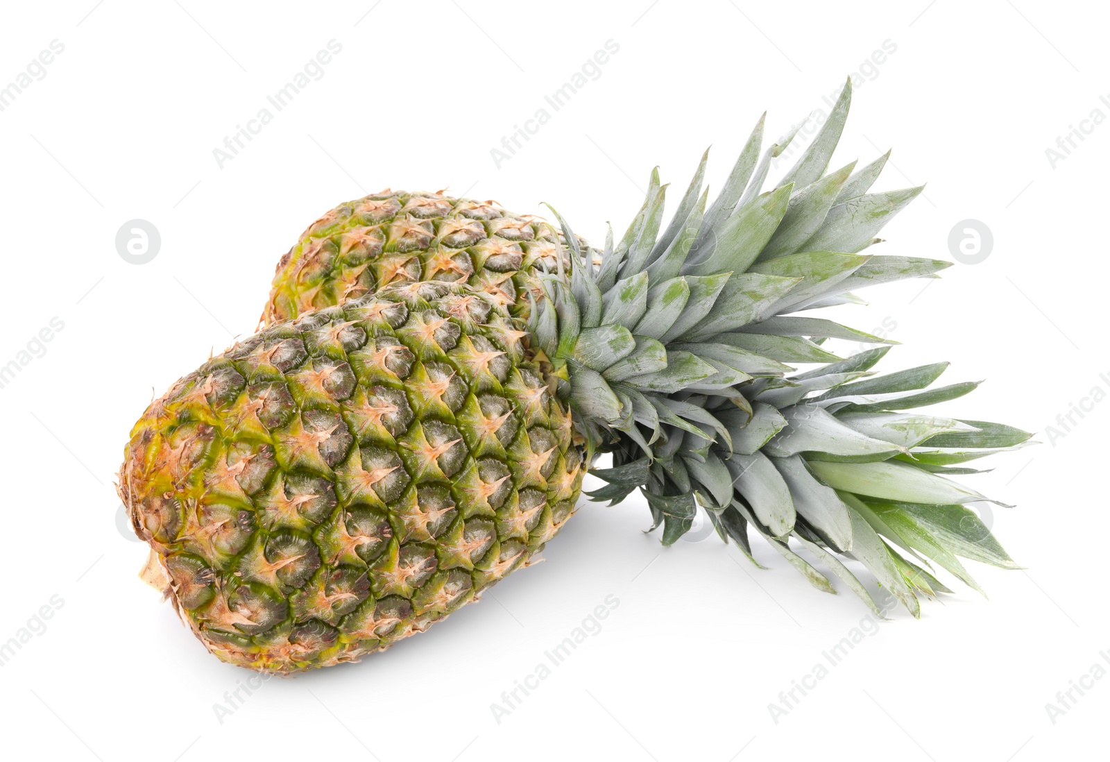 Photo of Two delicious ripe pineapples isolated on white