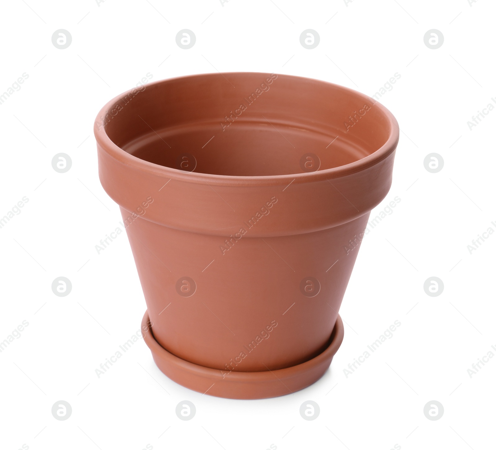 Photo of Stylish terracotta flower pot with saucer isolated on white