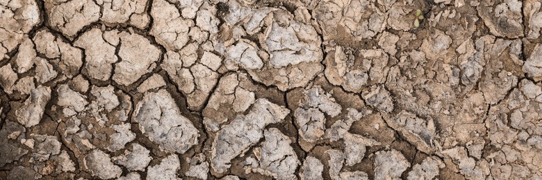 Image of Dry cracked ground as background, top view. Banner design