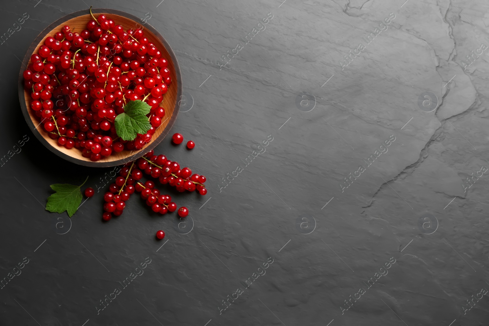 Photo of Delicious red currants on black slate table, flat lay. Space for text