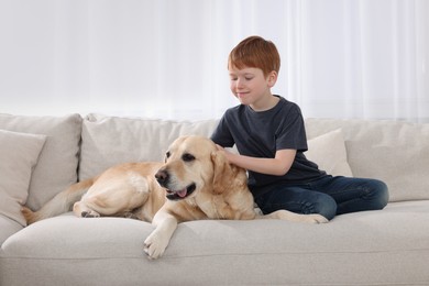 Photo of Cute child with his Labrador Retriever on sofa at home. Adorable pet