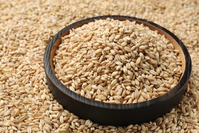 Photo of Pearl barley in bowl on dry grains, closeup