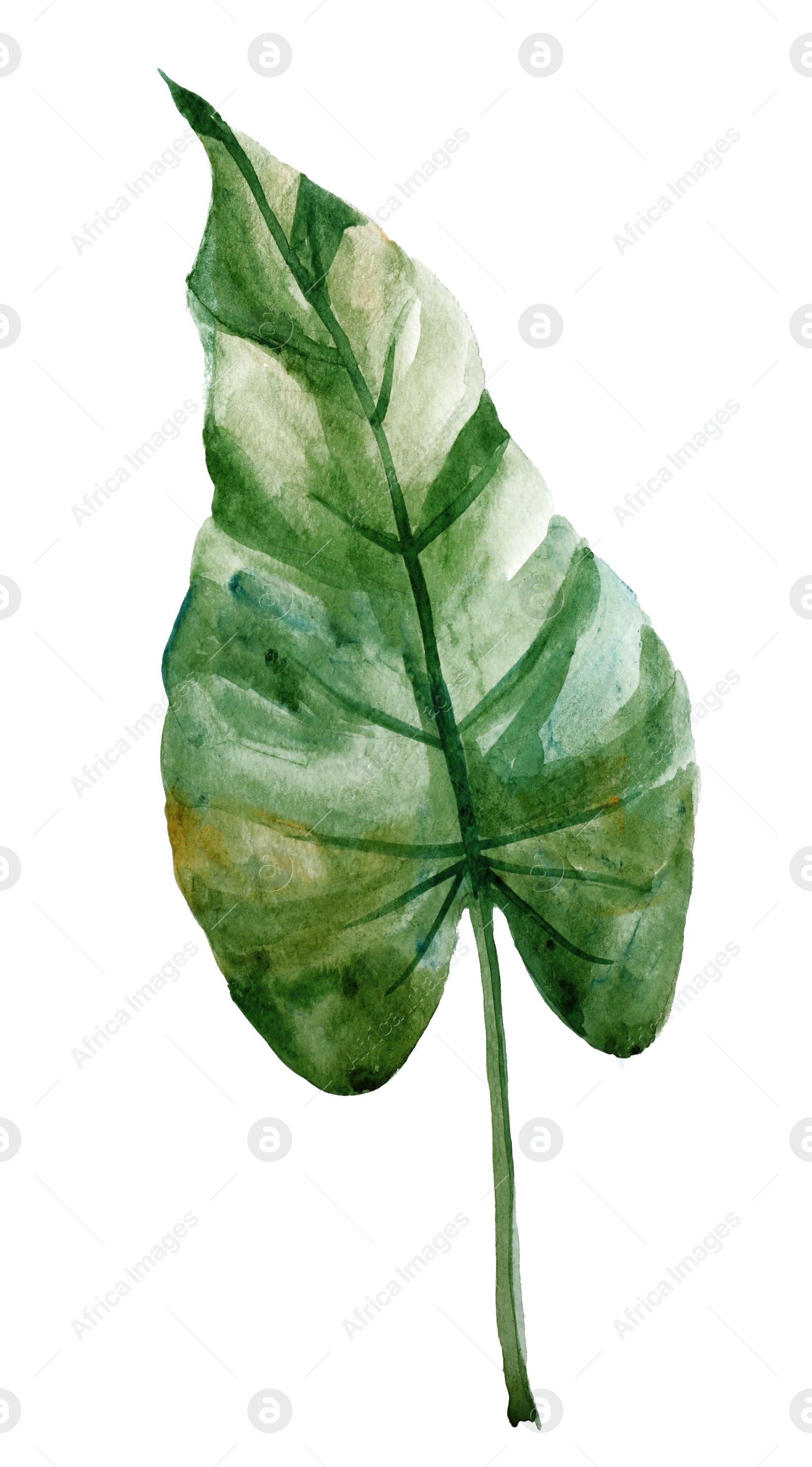 Photo of Beautiful watercolor tropical leaf painted on white paper, top view