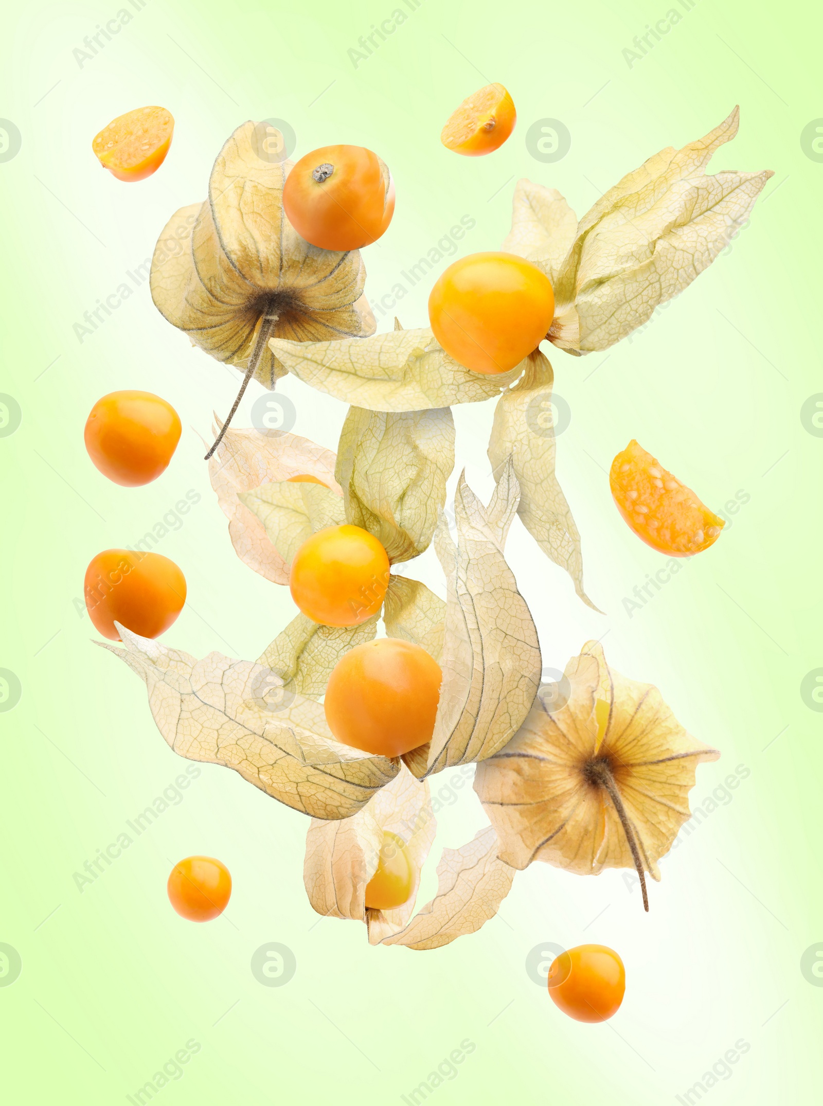Image of Ripe orange physalis fruits with calyx falling on light green gradient background
