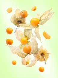 Ripe orange physalis fruits with calyx falling on light green gradient background