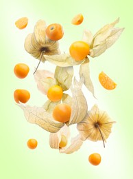 Image of Ripe orange physalis fruits with calyx falling on light green gradient background