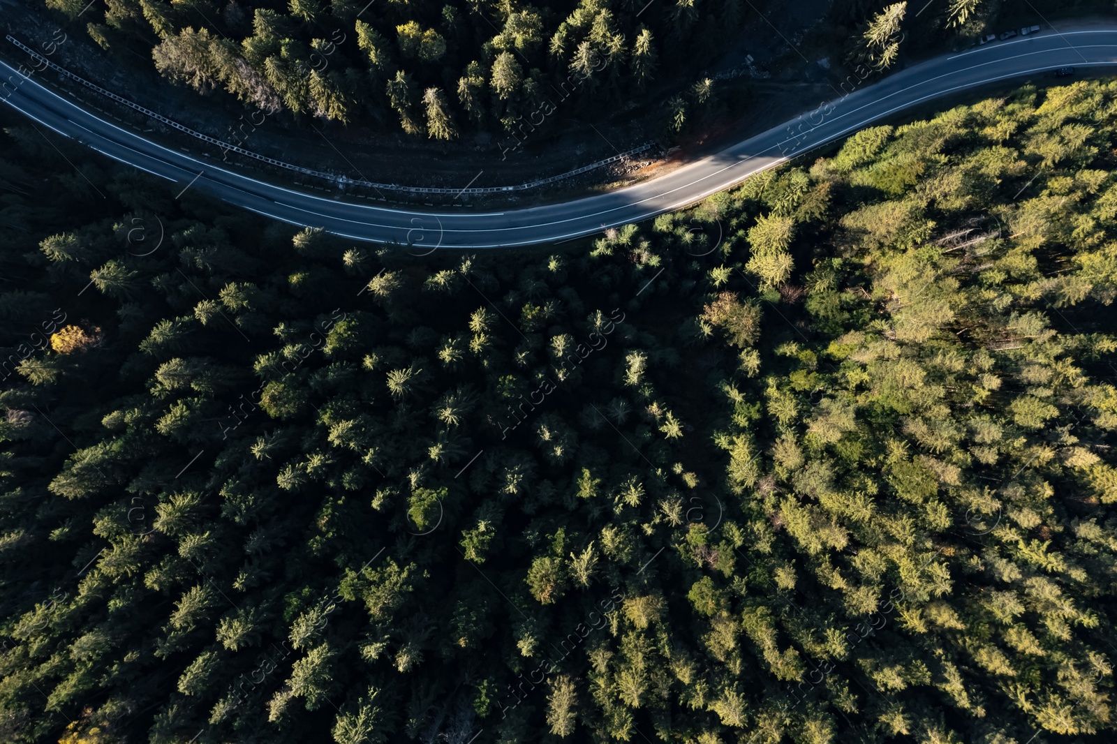 Image of Aerial view of asphalt road surrounded by coniferous forest on sunny day. Drone photography