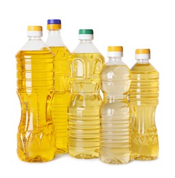 Bottles of cooking oil on white background