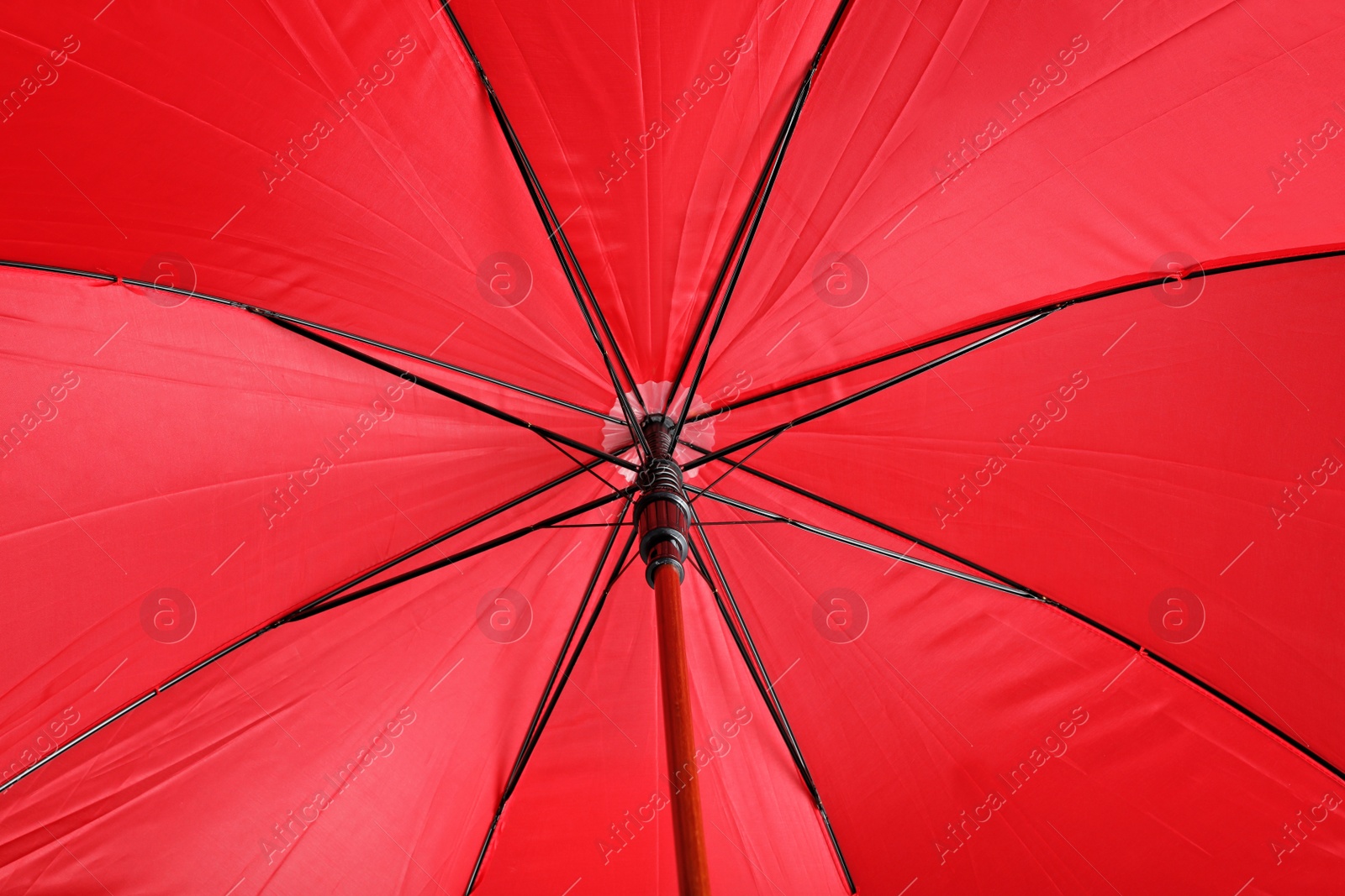 Photo of Color umbrella as background, closeup view