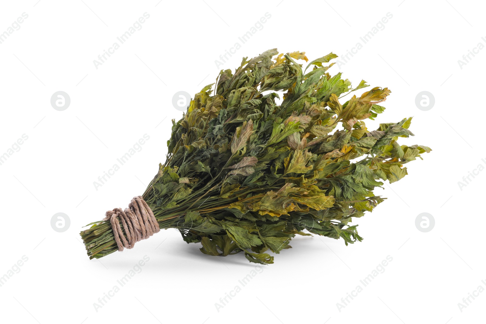 Photo of Bunch of dry parsley isolated on white