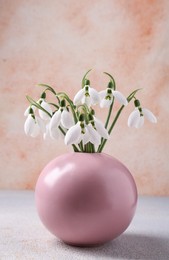 Beautiful snowdrops in vase on white wooden table