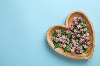 Photo of Beautiful clover flowers in heart shaped plate on light blue background, top view. Space for text