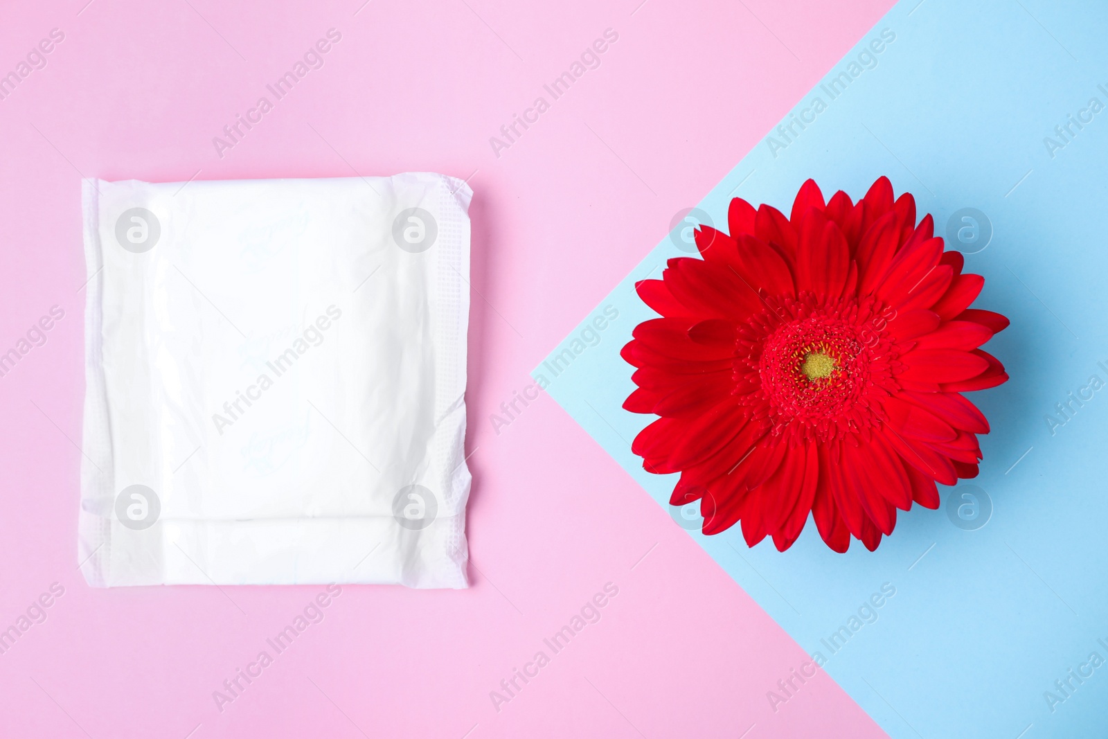 Photo of Flat lay composition with menstrual pad and gerbera flower on color background. Gynecological care