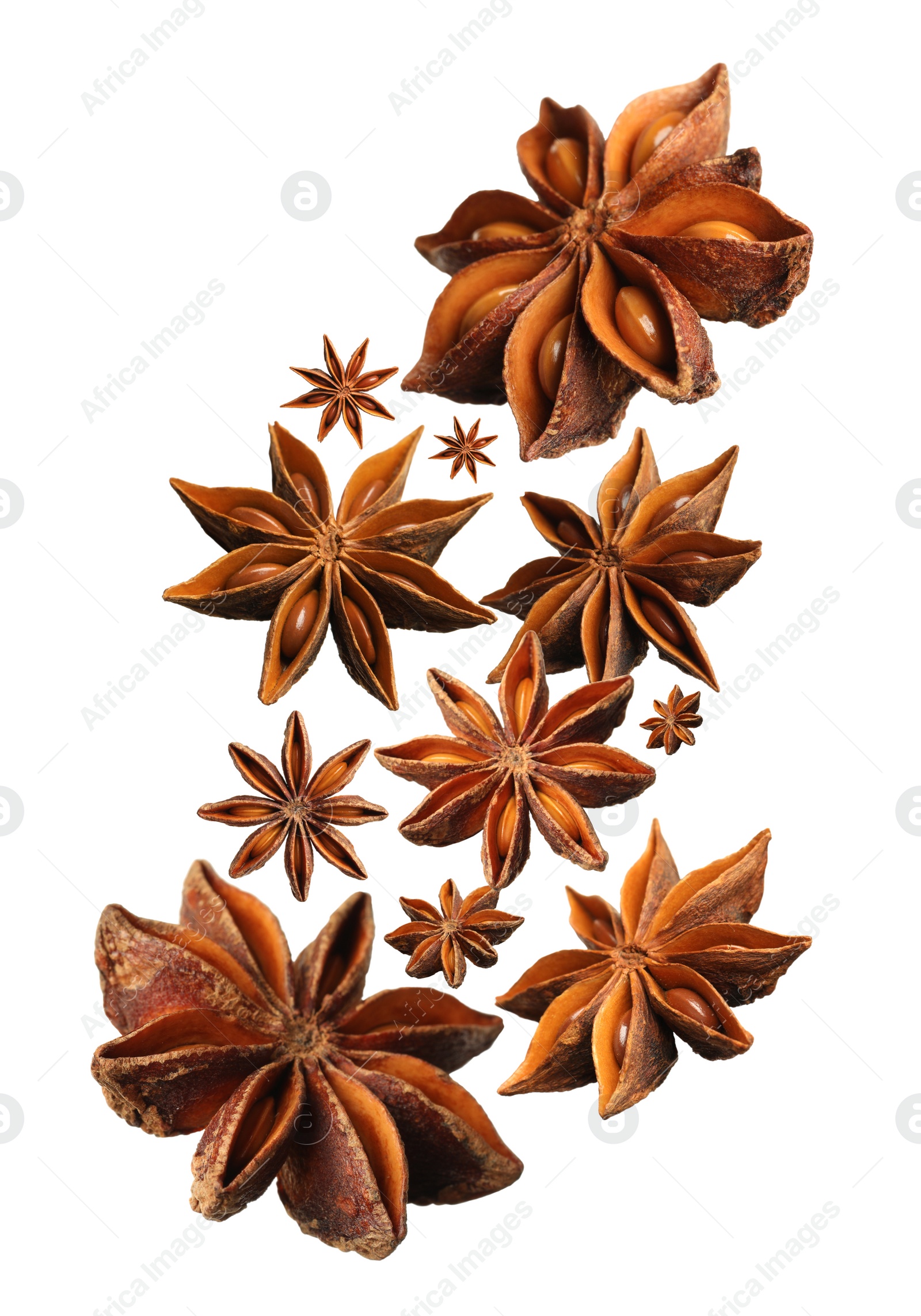 Image of Dry aromatic anise stars falling on white background