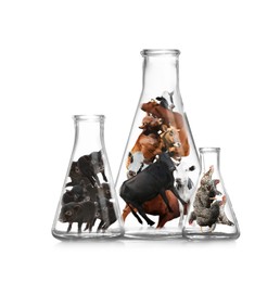 Image of Small cows, pigs and chickens in laboratory flasks on white background. Cultured meat concept
