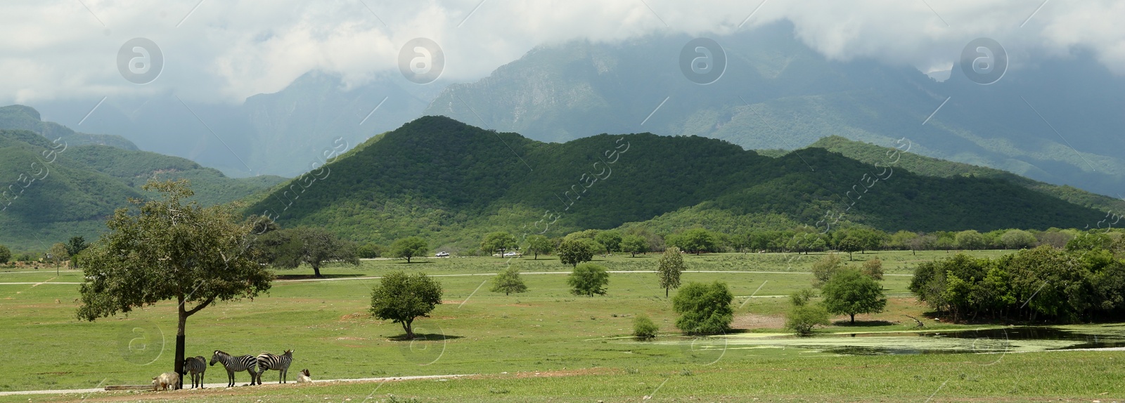 Image of Safari park with animals near picturesque mountains, banner design