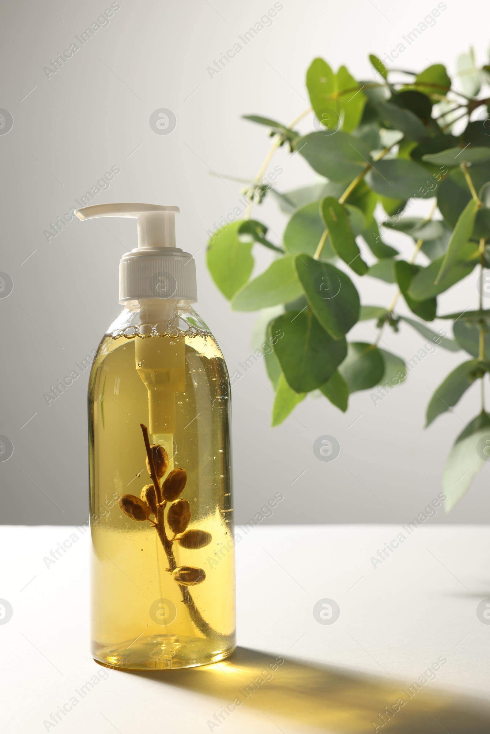 Photo of Bottle of liquid soap on white table near eucalyptus branches, space for text