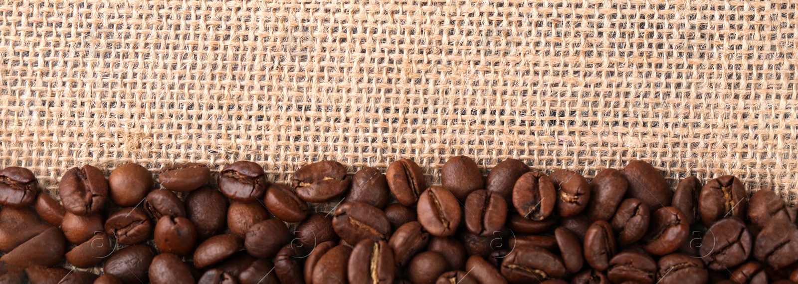 Photo of Many coffee beans on burlap fabric, top view. Space for text