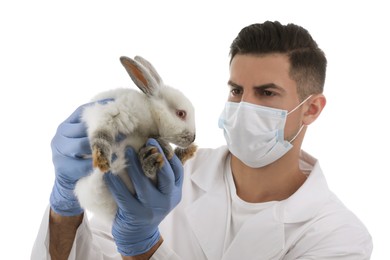 Photo of Scientist with rabbit on white background. Animal testing