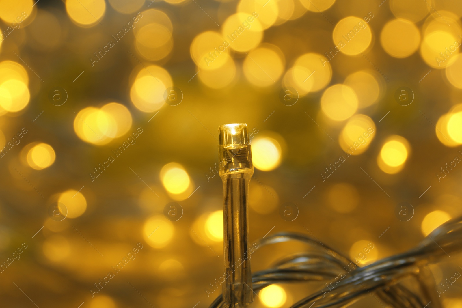 Photo of Golden glowing Christmas lights on blurred background, closeup view