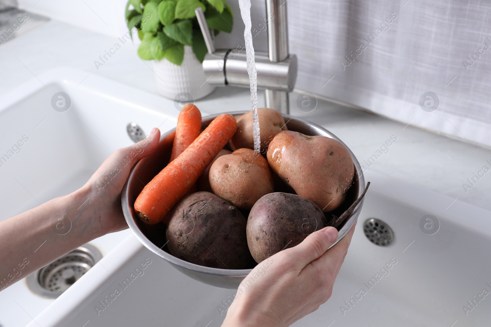 Photo of Woman washing fresh vegetables in kitchen sink, closeup. Cooking vinaigrette salad