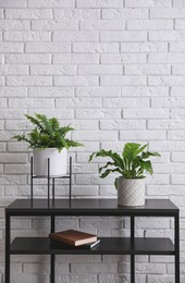 Photo of Beautiful fresh potted ferns on black table near white brick wall. Space for text