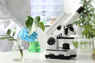 Photo of Lab assistant holding flask with plant near microscope on table. Biological chemistry