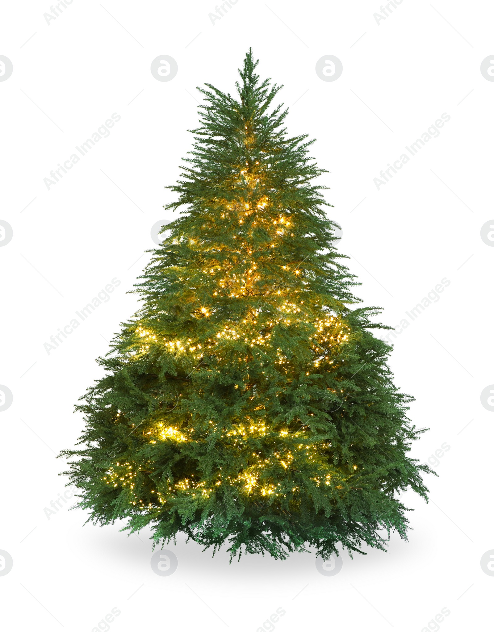 Photo of Beautiful Christmas tree decorated with festive lights isolated on white