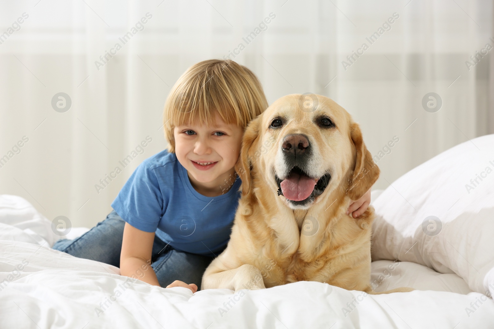 Photo of Cute little child with Golden Retriever on bed at home. Adorable pet