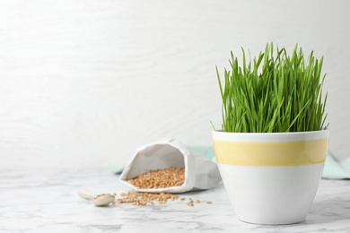 Ceramic cup with fresh wheat grass on table against light background. Space for text