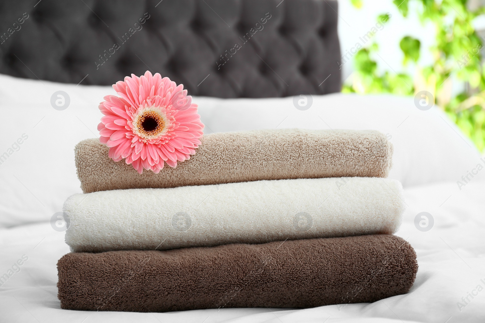 Photo of Stack of clean towels and beautiful gerbera flower on bed
