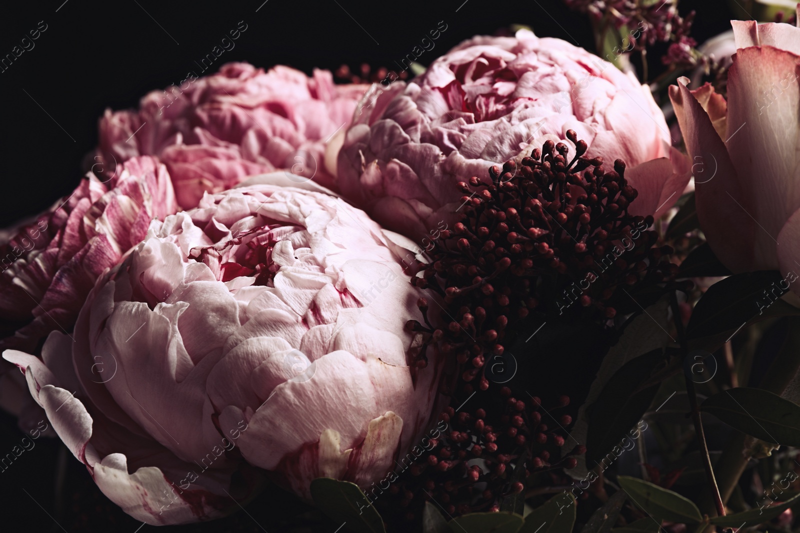 Photo of Beautiful bouquet of different flowers on black background, closeup. Floral card design with dark vintage effect