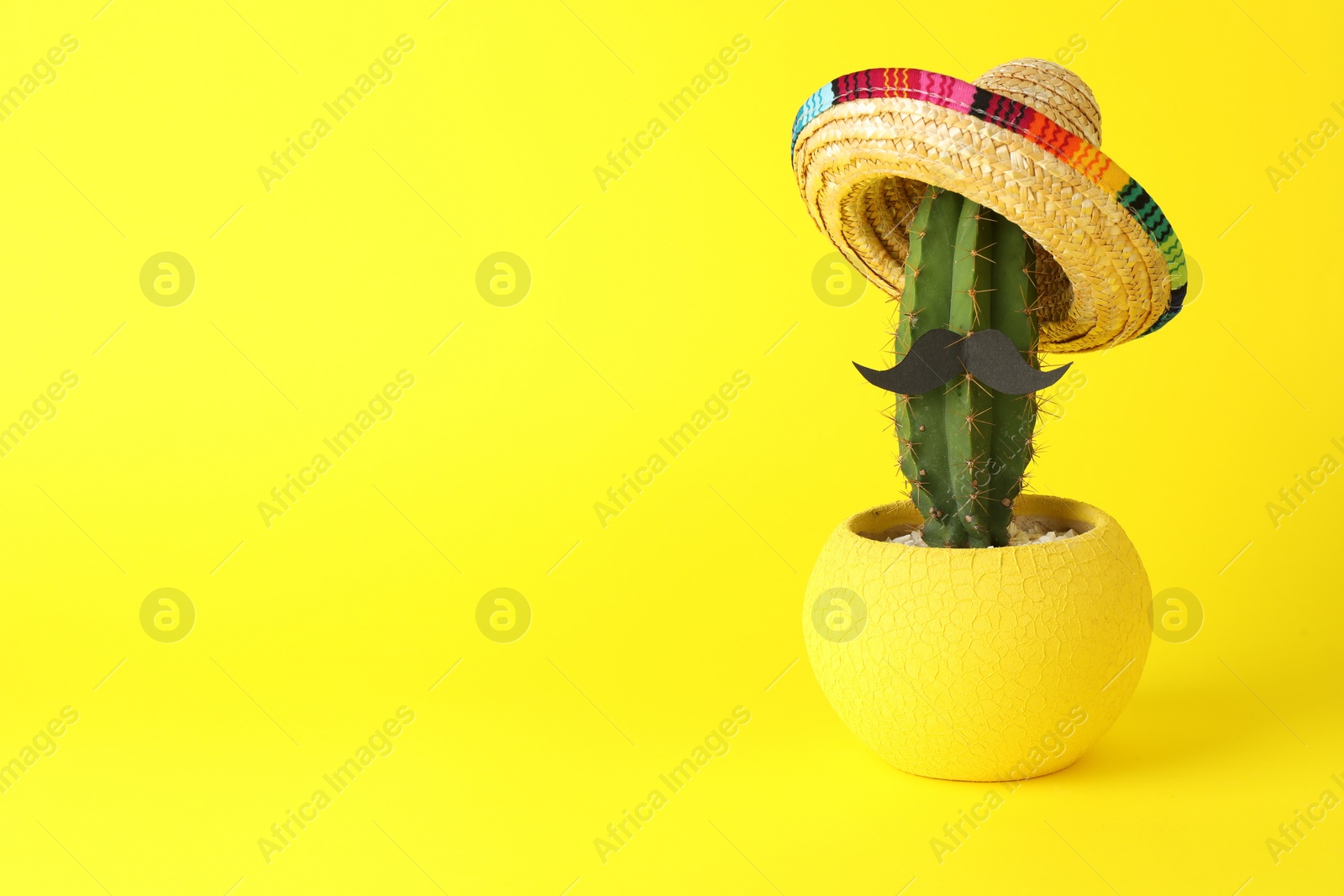 Photo of Cactus with Mexican sombrero hat and fake mustache on yellow background, space for text